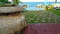 Ocho Rios Beach Resort At Chrisann Tower Isle Jamaïque